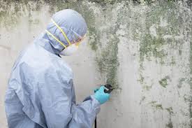 Best Crawl Space Mold Remediation  in Spanish Fork, UT